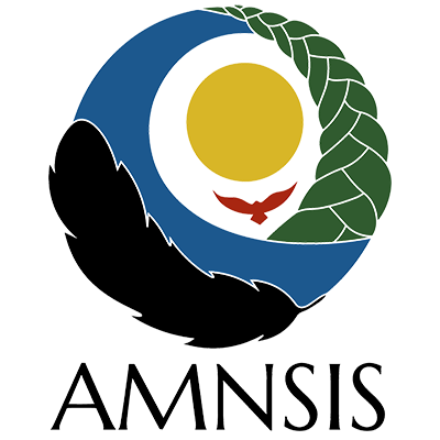 AMNSIS-logo-clear